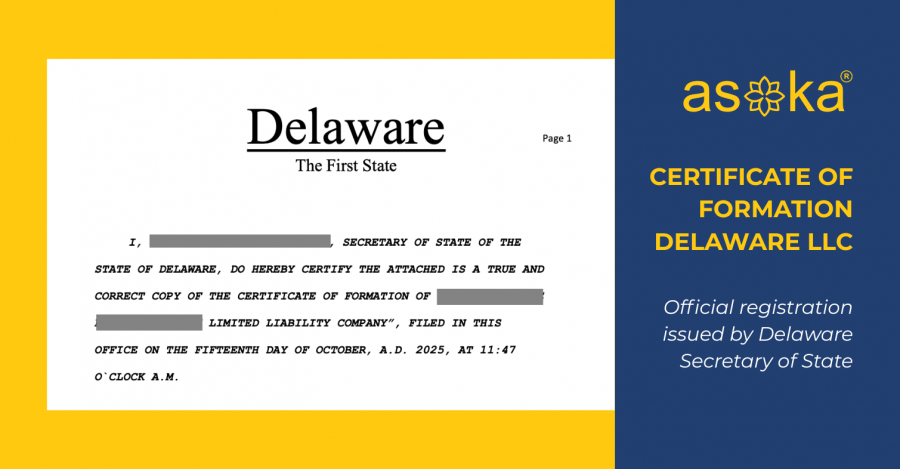 Delaware LLC cho người Việt: Vì sao là lựa chọn hàng đầu cho đầu tư quốc tế