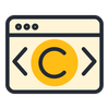 Copyright & Software Protection